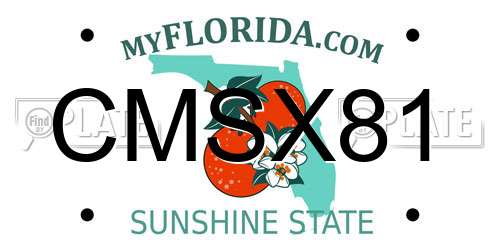CMSX81 Florida License Plate