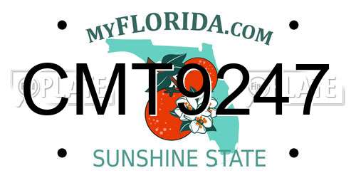 CMT9247 Florida License Plate