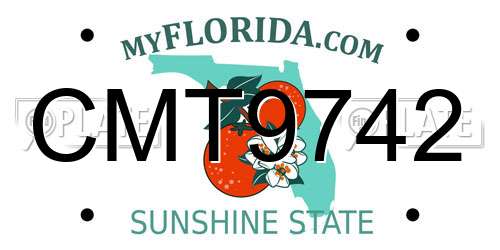 CMT9742 Florida License Plate