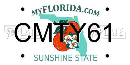CMTY61 Florida License Plate