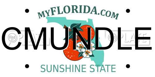 CMUNDLE Florida License Plate
