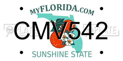 CMV542 Florida License Plate