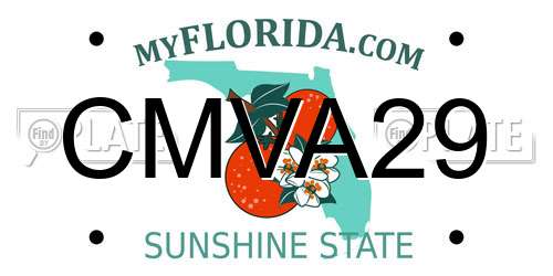 CMVA29 Florida License Plate