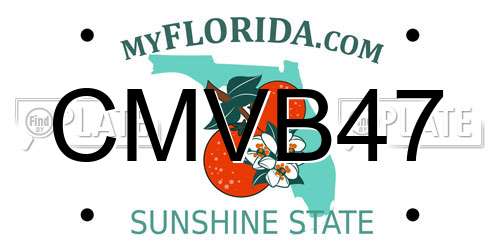 CMVB47 Florida License Plate