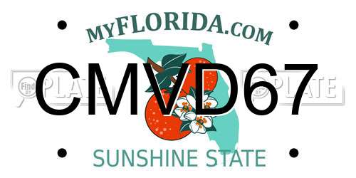 CMVD67 Florida License Plate