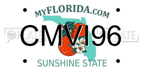 CMVI96 Florida License Plate