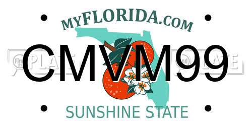 CMVM99 Florida License Plate