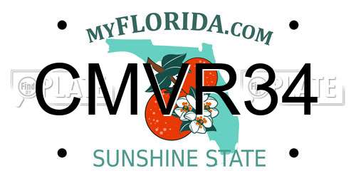 CMVR34 Florida License Plate