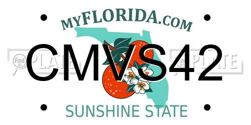 CMVS42 Florida License Plate