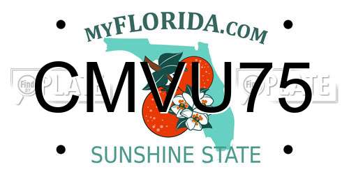 CMVU75 Florida License Plate