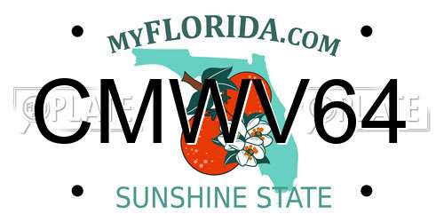 CMWV64 Florida License Plate