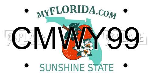 CMWY99 Florida License Plate