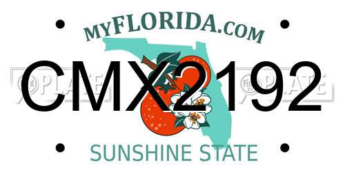 CMX2192 Florida License Plate