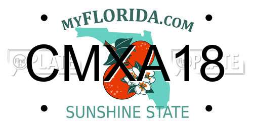 CMXA18 Florida License Plate