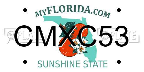 CMXC53 Florida License Plate