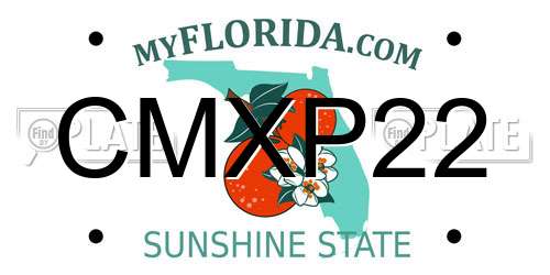 CMXP22 Florida License Plate