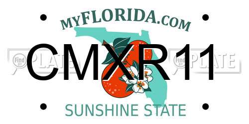 CMXR11 Florida License Plate