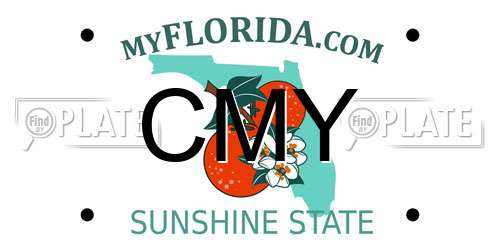 CMY Florida License Plate