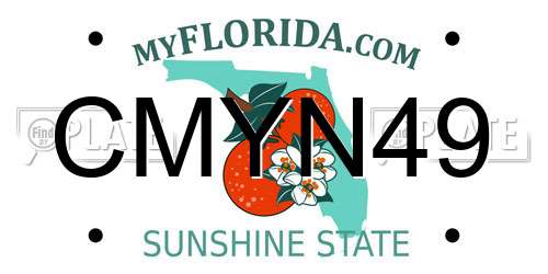 CMYN49 Florida License Plate