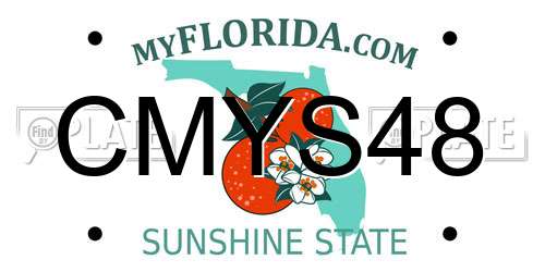 CMYS48 Florida License Plate
