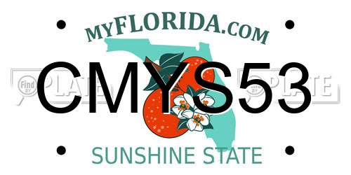 CMYS53 Florida License Plate