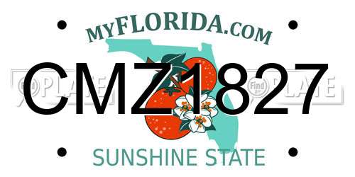 CMZ1827 Florida License Plate