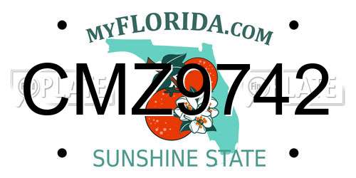 CMZ9742 Florida License Plate