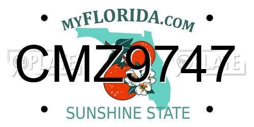 CMZ9747 Florida License Plate