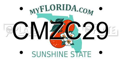 CMZC29 Florida License Plate