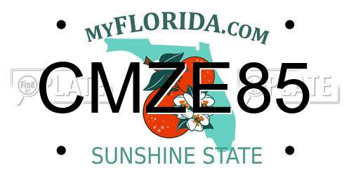 CMZE85 Florida License Plate