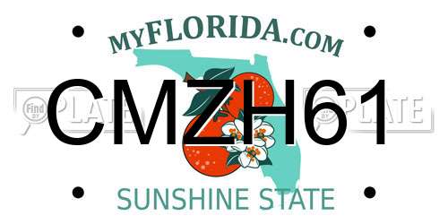 CMZH61 Florida License Plate