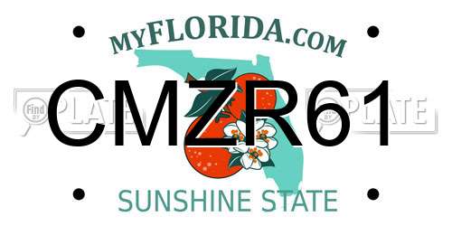 CMZR61 Florida License Plate