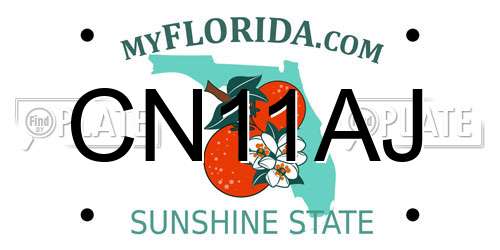 CN11AJ Florida License Plate