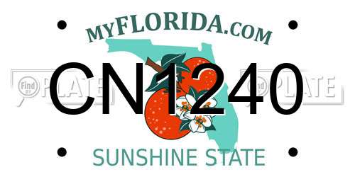 CN1240 Florida License Plate