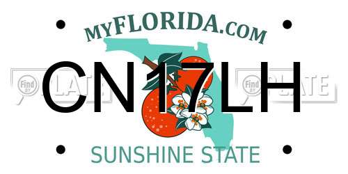 CN17LH Florida License Plate