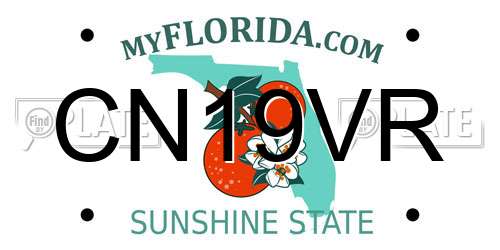 CN19VR Florida License Plate