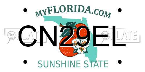 CN29EL Florida License Plate