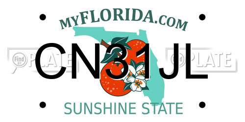 CN31JL Florida License Plate