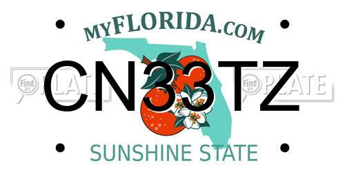 CN33TZ Florida License Plate