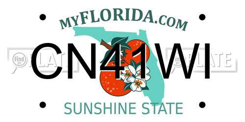 CN41WI Florida License Plate