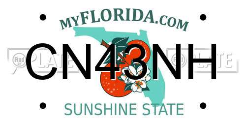 CN43NH Florida License Plate