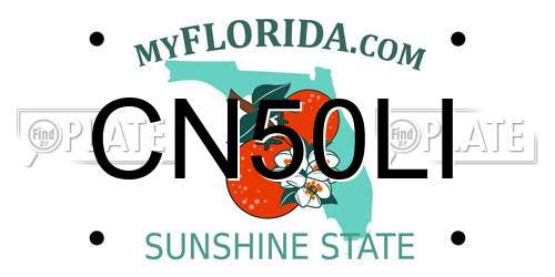 CN50LI Florida License Plate