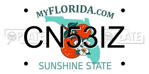 CN53IZ Florida License Plate