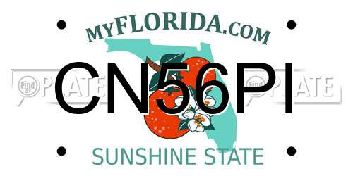 CN56PI Florida License Plate