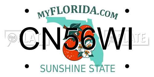 CN56WI Florida License Plate
