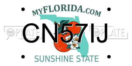 CN57IJ Florida License Plate