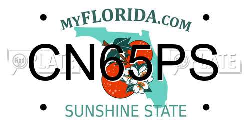CN65PS Florida License Plate