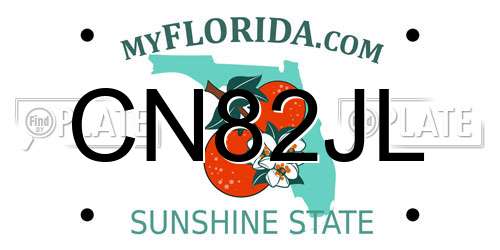 CN82JL Florida License Plate