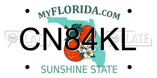 CN84KL Florida License Plate