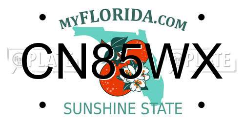 CN85WX Florida License Plate